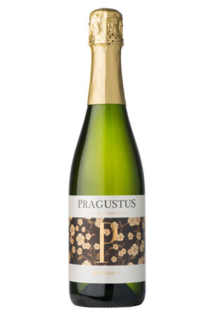 Pragustus Espumoso - Vinigalicia | Copa y Queso